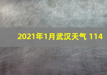 2021年1月武汉天气 114